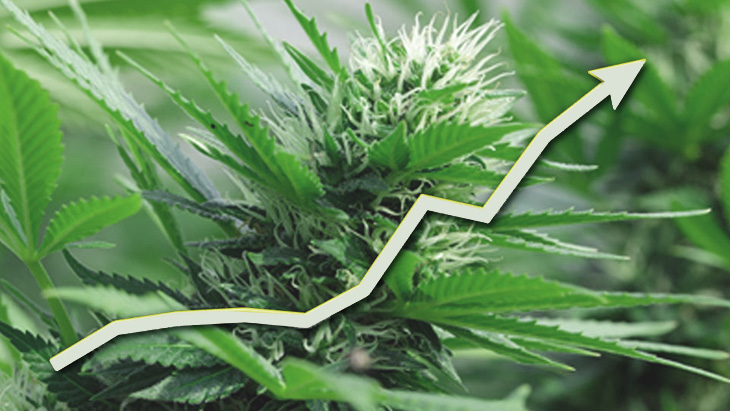 NORML's tweet card. Support dips amongst Republicans