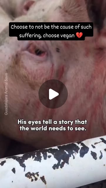 RavenTW's tweet card. Trish Raven (@raventw) • Instagram reel