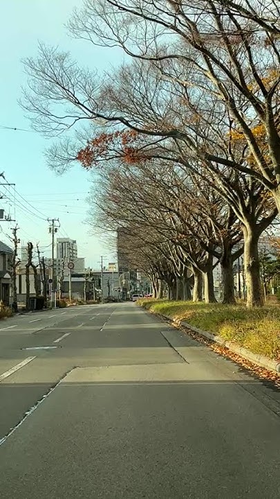 SKYART74113149's tweet card. 函館の様子２０２５年１１月２１日 #shorts #函館 #函館の天気 #函館の風景 #函館の景色 #函館ドライブ