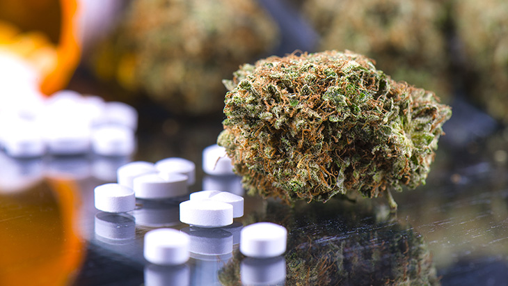 NORML's tweet card. Patients report reduced pain, decreased prescription opioid use