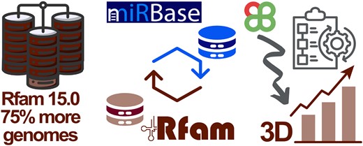 EVirusBioinfC's tweet card. Abstract. The Rfam database, a widely used repository of non-coding RNA families, has undergone significant updates in release 15.0. This paper introduces