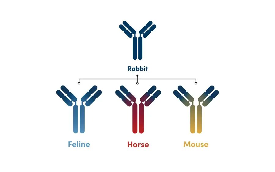 CellSignaling's tweet card. Same antibody specificity, different host species. CST chimerics fit in your existing immunofluorescence workflow to expand multiplex IF to more targets.
