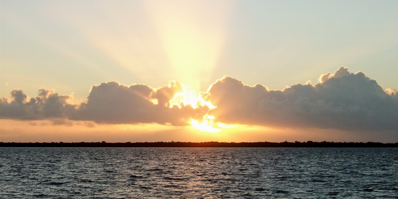 APainPrincess's tweet card. The unfortunate but true realities of living with chronic illness.