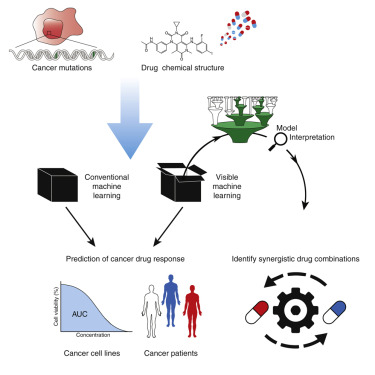 sriram_lab's tweet card. Kuenzi et al. develop DrugCell, an interpretable deep learning model that simulates the response of human cancer cells to therapy. DrugCell predictions might generalize to patient tumors and can be...