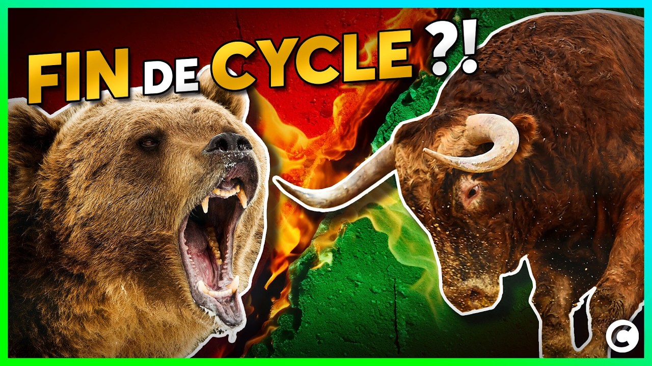 CRYPTOKAPI_'s tweet card. Bullrun terminé ? Ces signaux qui ne trompent pas