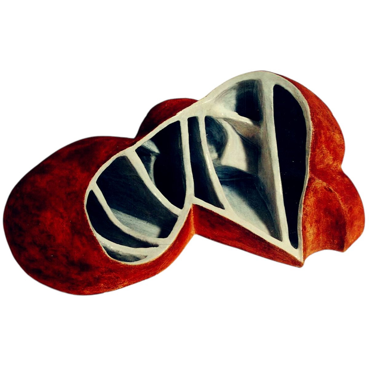 soma_objects's tweet card. Thoughts, stories and ideas.