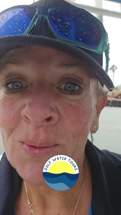 Time2Design's tweet card. Caught in a rain storm, Gulf Water Tours Sarasota