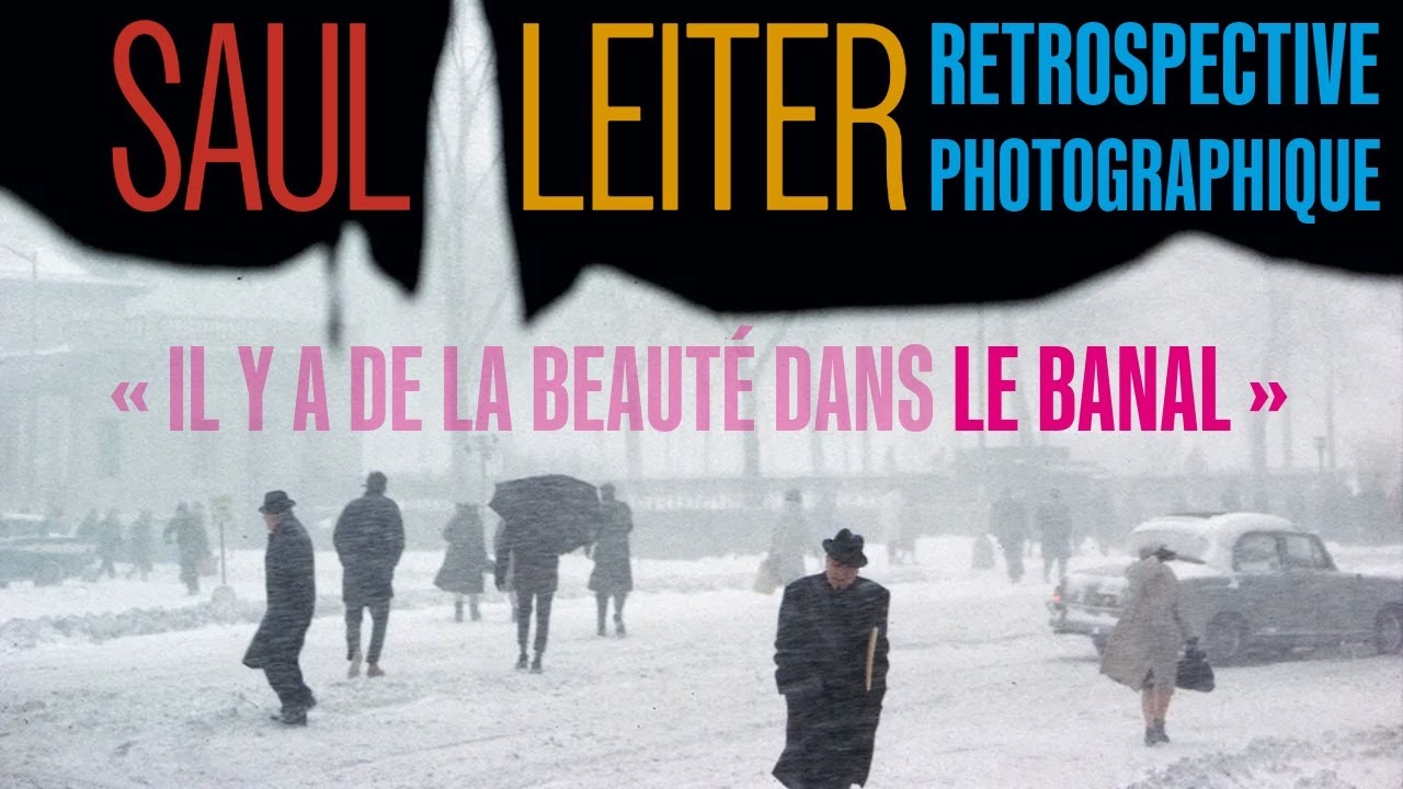 Modular_Airport's tweet card. SAUL LEITER // Une Vie Haute en Couleur