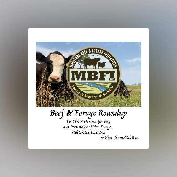 DrBart_Beef's tweet card. Preference Grazing and Persistence of New Forages with Dr. Bart...
