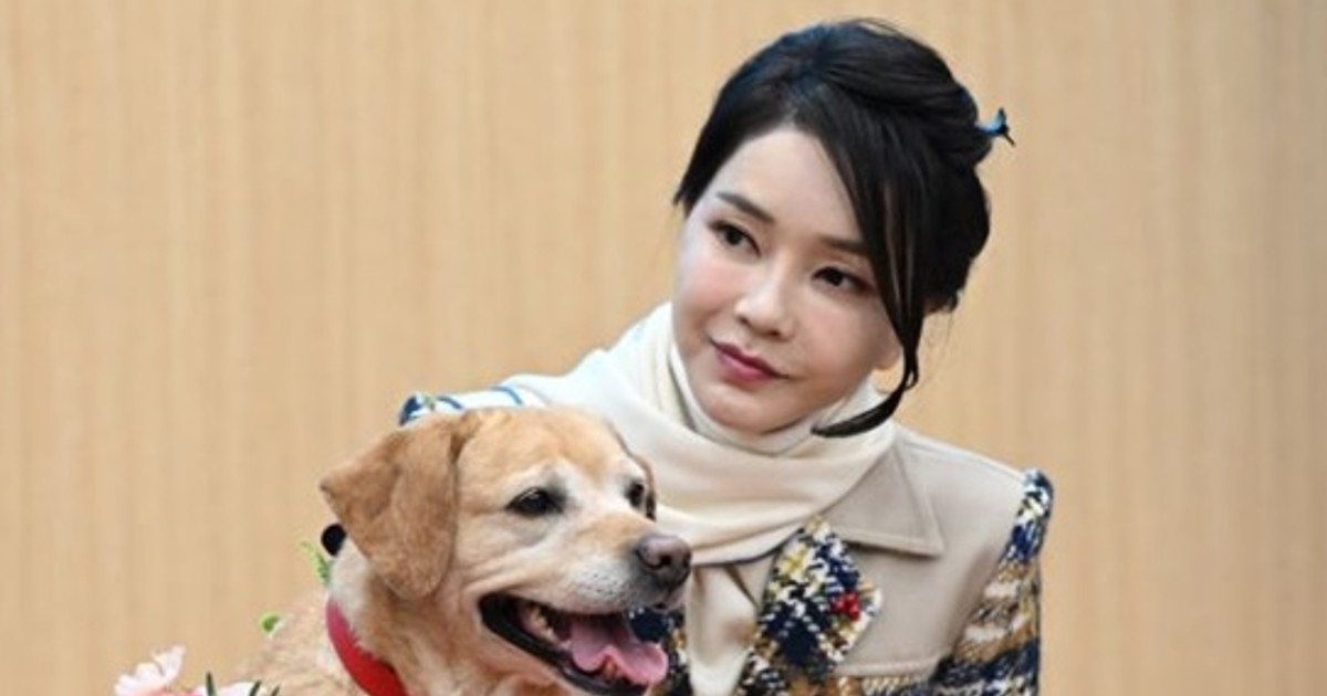 slingstone0309's tweet card. [내외일보] 이지연 기자 = 김의겸 더불어민주당 대변인이 김건희 여사를 겨냥해 "가장...