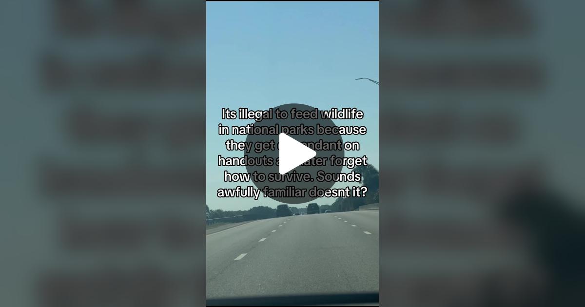 technosus's tweet card. 1973 likes, 49 comments. Check out Okii2FL_ToxicAF’s video.