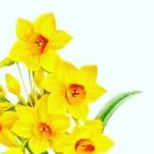 LectureMania's tweet card. Lecture Mania (@lecture__mania) • Instagram photo