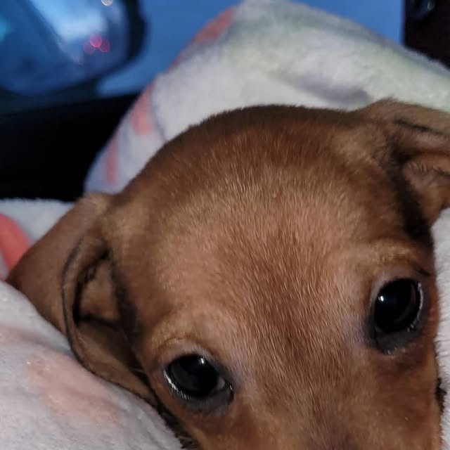 ForgotnGoGo's tweet card. GoGoMystic (@gogomystic) • Instagram photo