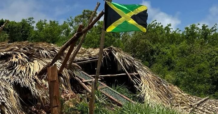 Tweet card summary image