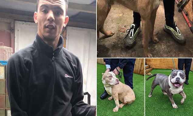 XposeTrophyHunt's tweet card. WARNING: Some may find pictures and descriptions of animal abuse upsetting. Dane Crawford, 30, was jailed for 30 months for animal cruelty offences