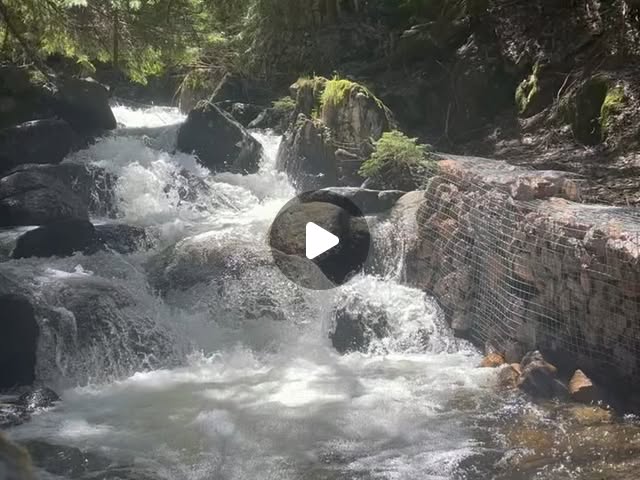 binabug92's tweet card. Ariel Sabina ♥ (@binabug92) • Instagram photos and videos