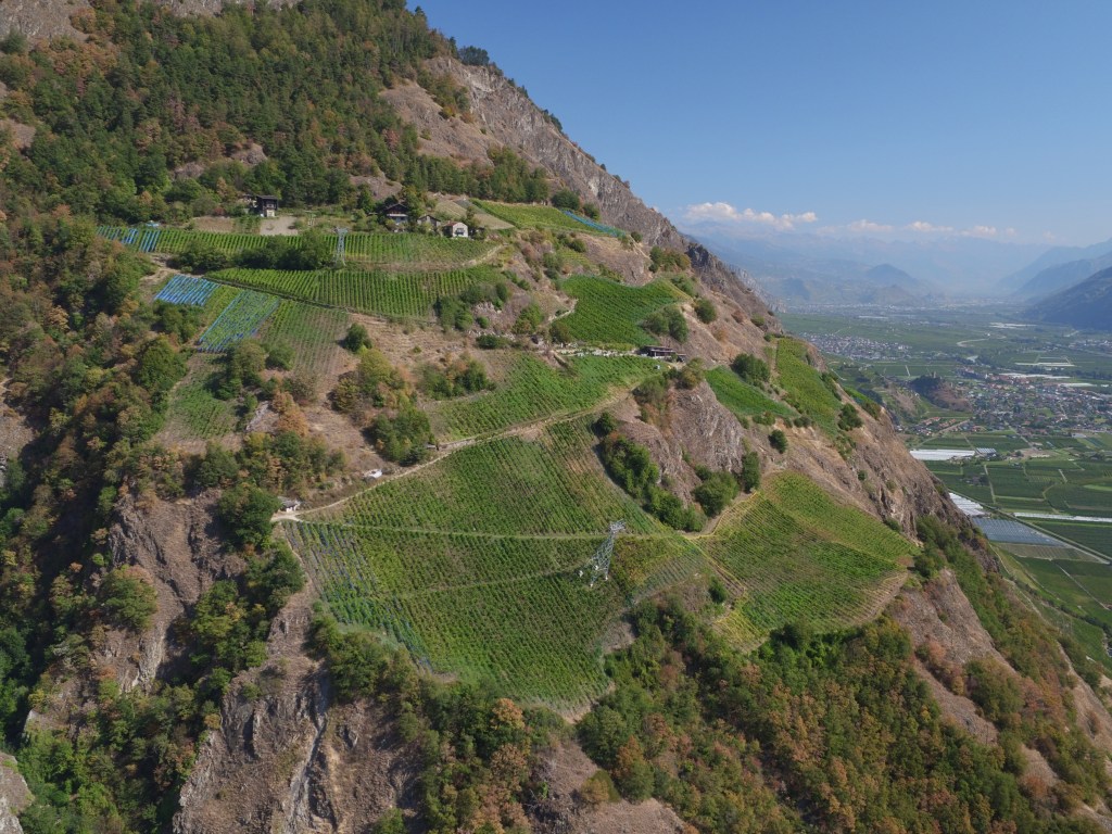 BlindTasters's tweet card. The Valais (‘the real Northern Rhône’), with its 5000ha under vine, produces over a third of Swiss wine, and is without a doubt Switzerland’s most important and interesting wine region.