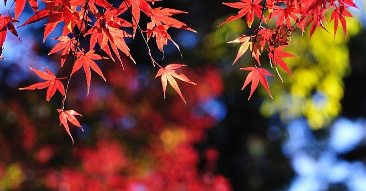 BlogMATLAB's tweet card. まえがき 以前、MATLABで開発したVSTで保存した設定パラメータファイルをMATLAB上で適用して使う以下の記事を書きましたが、より簡単な方法が見つかったのでまとめておきます。 MATLABでVST開発 ～ Map オブジェクト（文字ベクトル Key データ構造体）を使ってVSTパラメータをセットする（R2022a対応版） 問題点 問題点をもう一度整理すると、以下のようになります。...