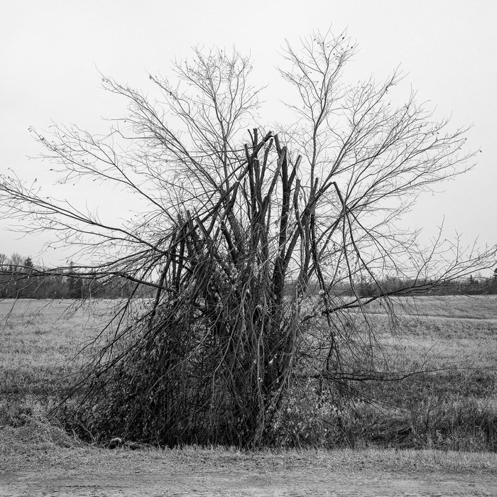 tiltedspheres's tweet card. Four Unbindings, by COLE PETERS