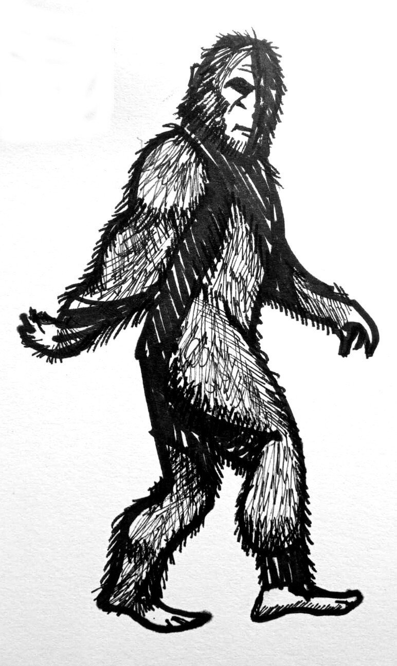 sasysquatchgirl's tweet card. People hunting for Bigfoot use sophisticated techniques for collecting and validating evidence, drawing on scientific methods to try and prove its existence, research shows.