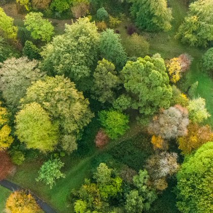 Tweet card summary image