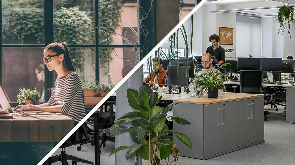 inboxage's tweet card. Inboxage ONA, hem takım içi hem de takımlar arası işbirliklerini optimize etmeye yardımcı olur.