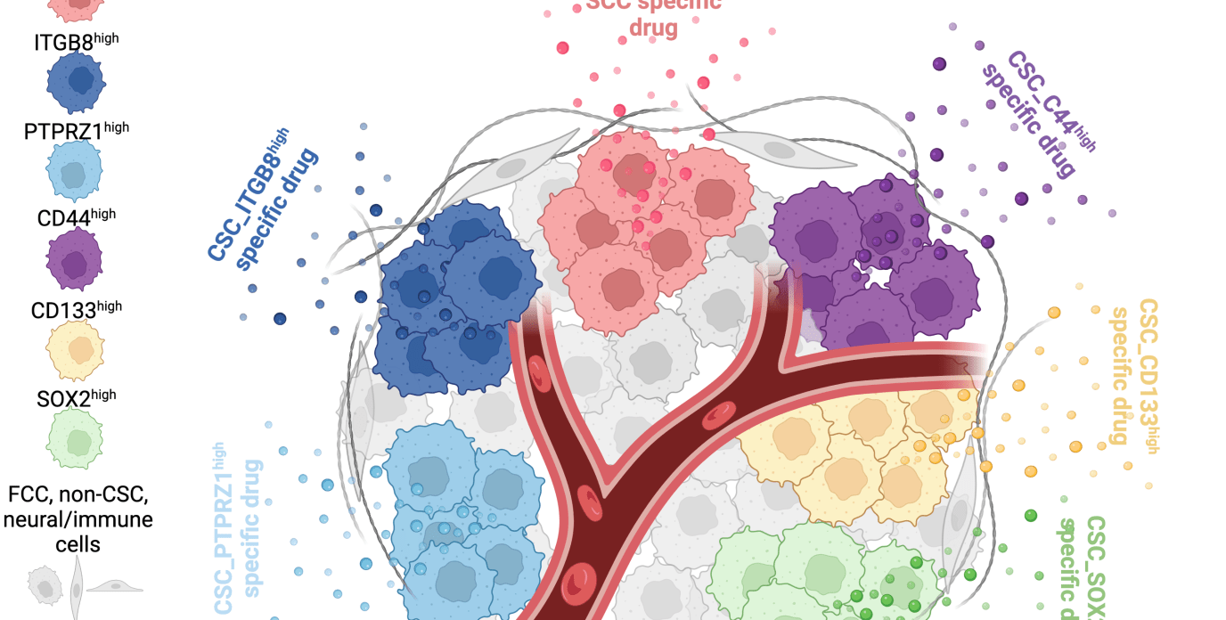 ldeleyrolle's tweet card. UF researchers provide new insight into the makeup of glioblastoma cells and potential targets for interventions.