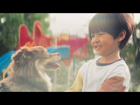 dongyuclub's tweet card. 「想い愛、ずっと。」篇（60秒）