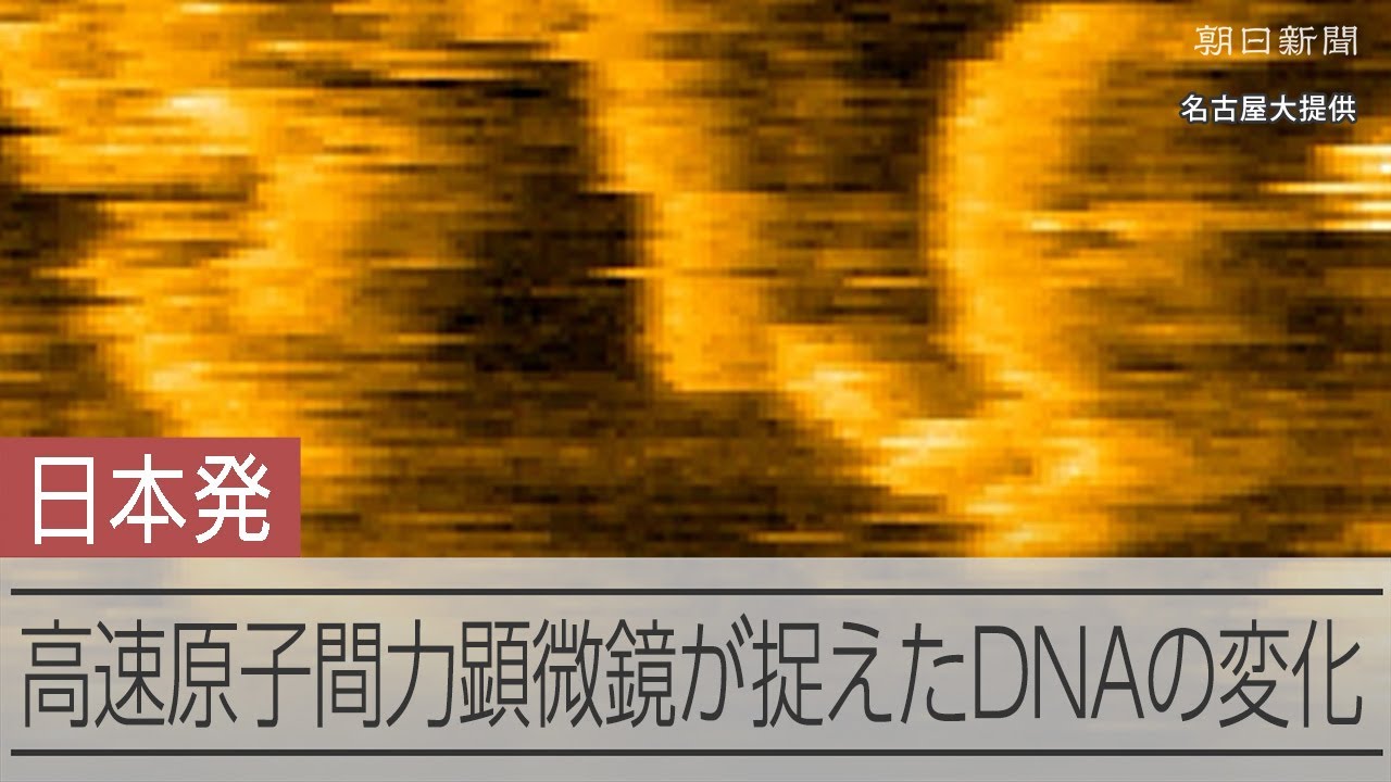 tacke_jp's tweet card. 高速原子間力顕微鏡が捉えたDNAの変化　分子レベルでリアルタイムに観察