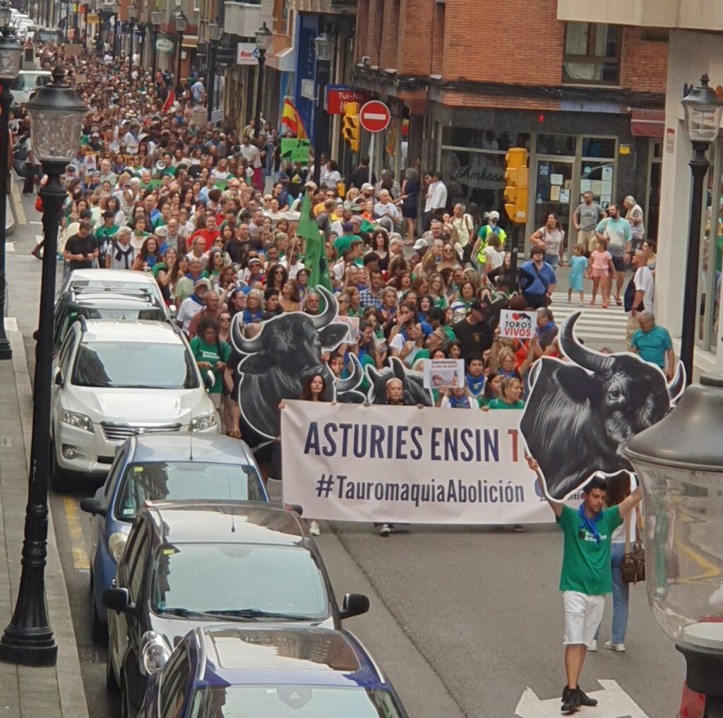 CAS_Int's tweet card. On Sunday, August 10th, we protested together with Asturies Antitaurina and AnimaNaturalis against bullfighting in the Spanish city of Gijón (Asturias) in the North of Spain. The protest served as an...