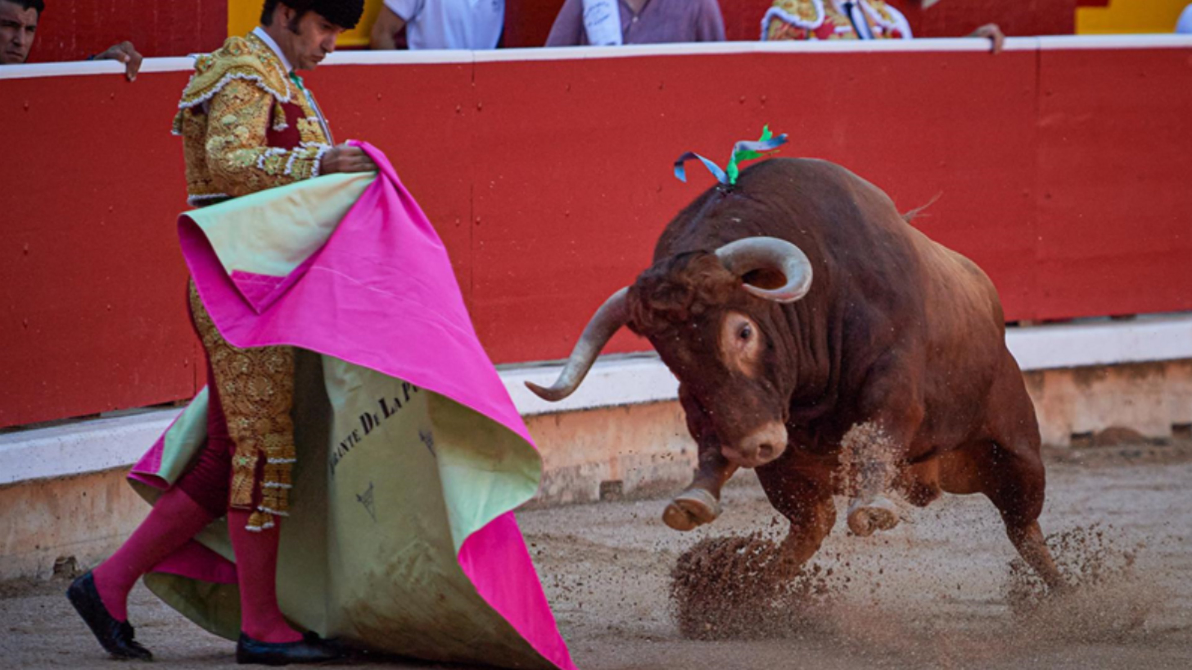 CAS_Int's tweet card. Spaanse jongeren gaan steeds vaker naar stierenvechten. Er zou sprake zijn van een ware opleving. Op die manier zou het oude culturele erfgoed, dat steeds minder bezoekers trekt, weer nieuw leven in...