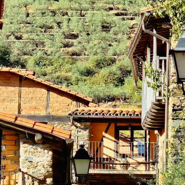 isabelsanbe's tweet card. Isabel Sanmartín (@isabelsanbe) • Instagram photo