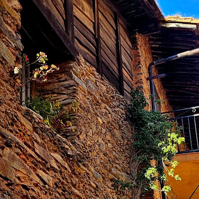 isabelsanbe's tweet card. Isabel Sanmartín (@isabelsanbe) • Instagram photo