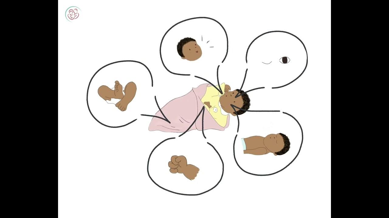 BrazeltonUK's tweet card. Babies are... Captivating Communicators