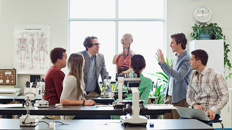 BlogicBee's tweet card. Whether your subject is human anatomy, the life cycle of a chicken, or fruit fly genetics, students today have cleaner, safer, and more advanced models for biological discovery than ever before.