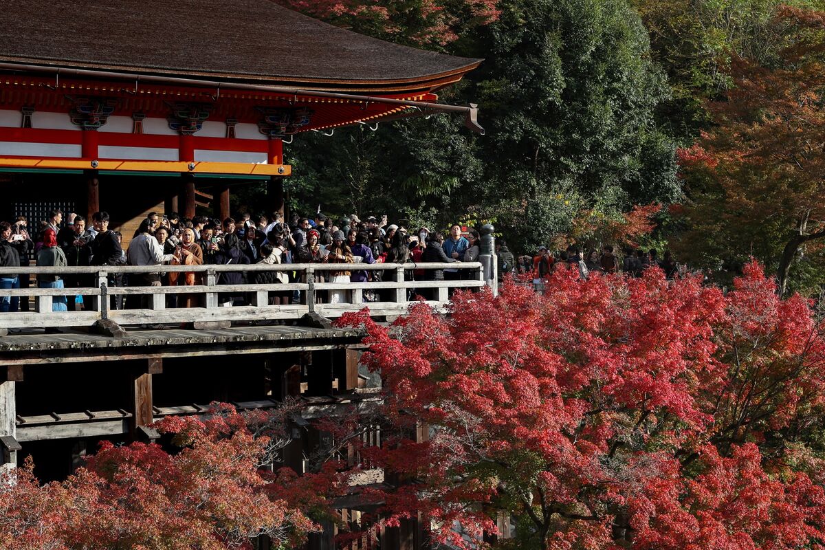 shop_kakiko's tweet card. 日中関係の悪化に伴い、年内に予定されていた中国からの訪日旅行144万件の約3割がキャンセルされたことが、民間調査でわかった。経済損失は最大12億ドル（約1900億円）に達する可能性があるという。