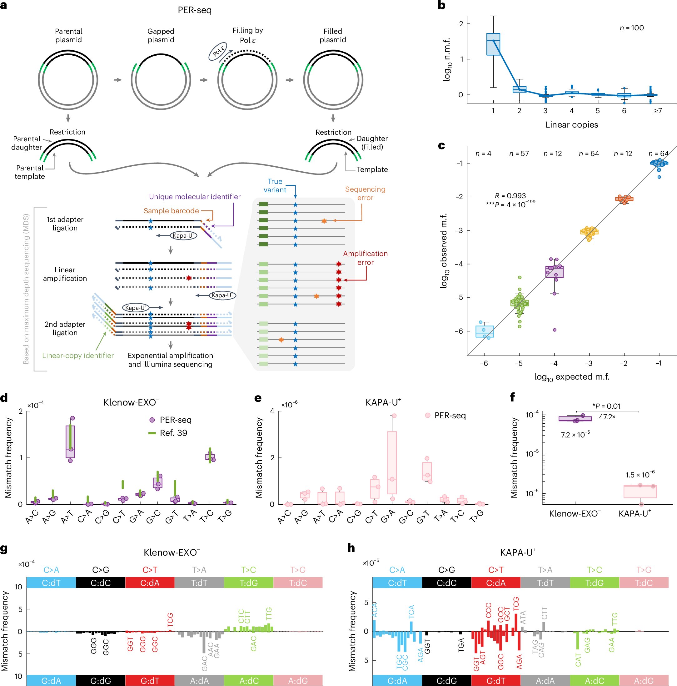 sk_kriaucionis's tweet card. Nature Genetics - A new method called polymerase error rate sequencing (PER-seq) can measure the nucleotide misincorporation rate of DNA polymerases. DNA polymerase ε mutants produce an excess...