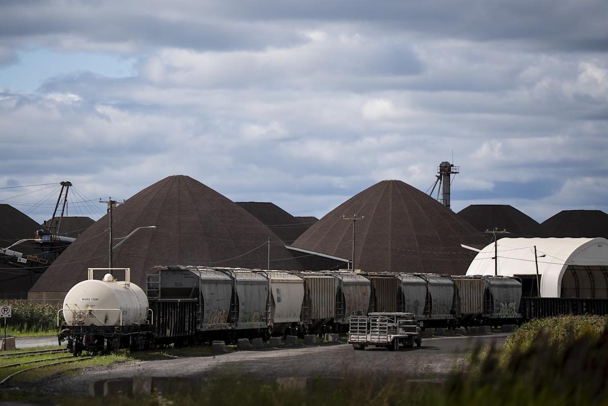 timethief's tweet card. OTTAWA — Ottawa's one-stop shop for businesses to pitch plans for large industrial construction projects will be headquartered in Calgary and managed by former Trans Mountain CEO Dawn Farrell, the...