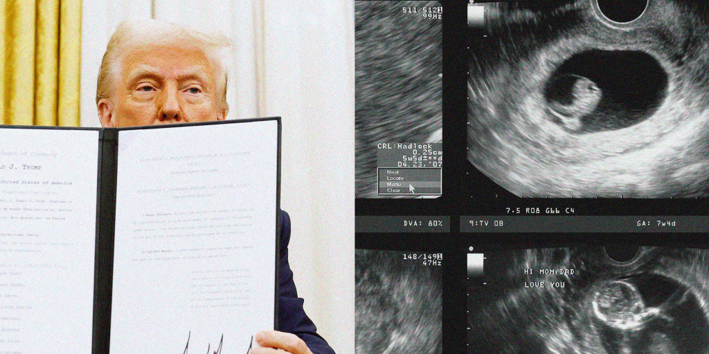 csiemaszko's tweet card. "Nobody is male or female at fertilization," says Dr. Eve Feinberg in response to Trump's executive order that claims a person's sex is decided "at conception."