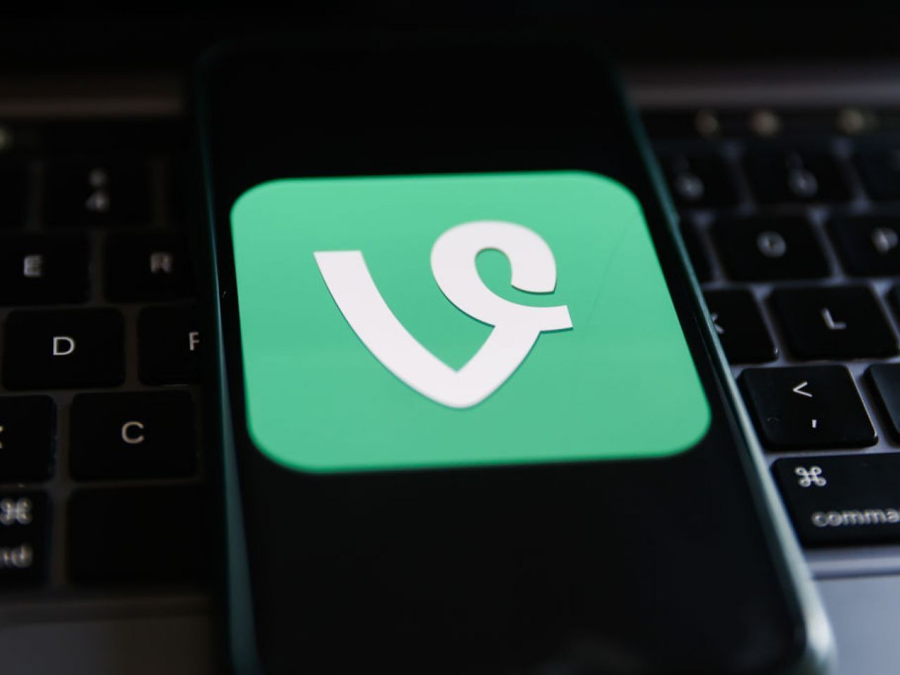 cnet_japan's tweet card. 6秒動画アプリ「Vine」の終了からほぼ9年が経ったいま、よく似た新アプリ「Divine」が登場した。