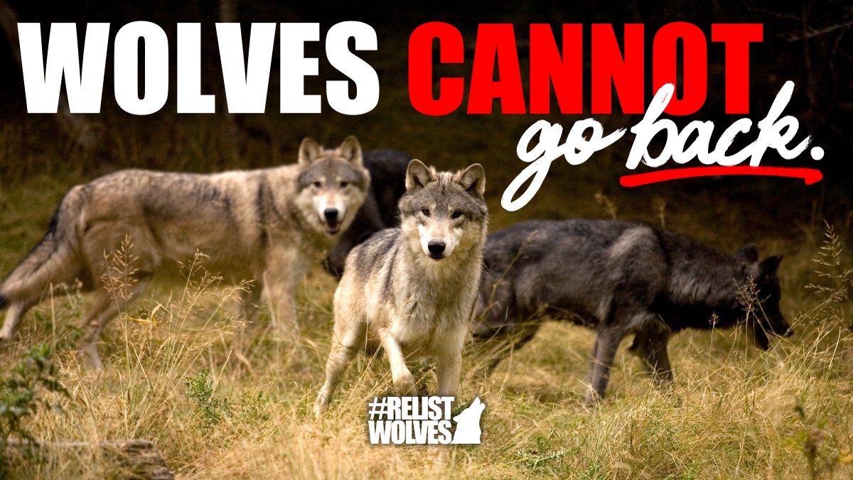 BanKillContests's tweet card. Take Action Now