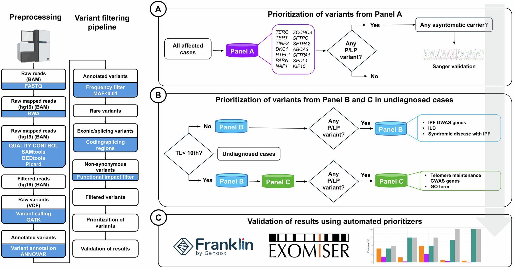 ejhg_journal's tweet card. European Journal of Human Genetics - A tiered strategy to identify relevant genetic variants in familial pulmonary fibrosis: a proof of concept for the clinical practice