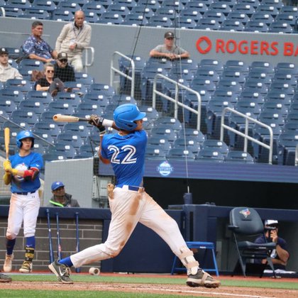 Tweet card summary image