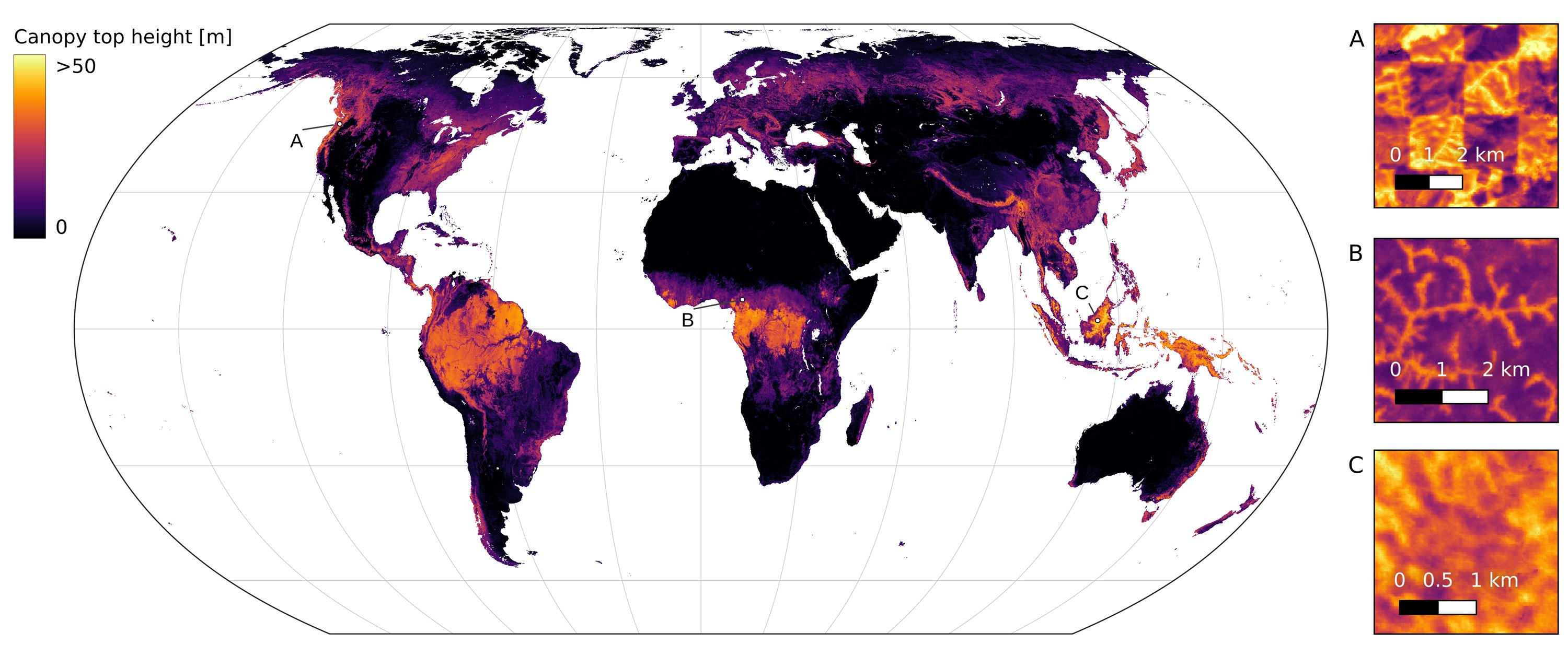 nicolangnl's tweet card. A high-resolution canopy height model of the Earth