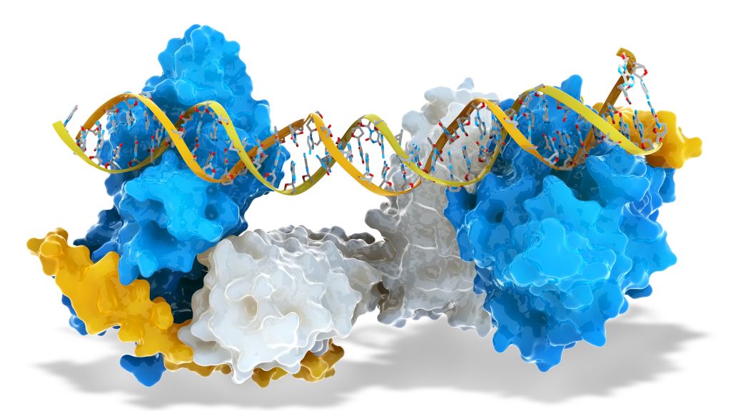 StamTech's tweet card. Synthetic biologists have engineered a customized switch into cells, a step toward improving a new cancer therapy that harnesses the immune system.