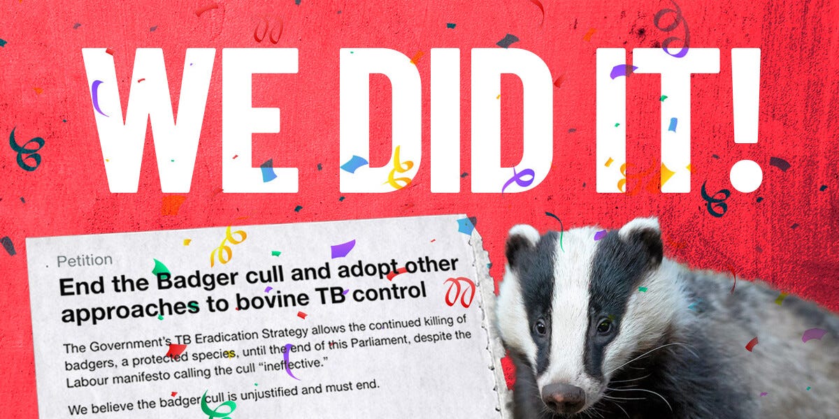 ProtectTheWild_'s tweet card. Thanks to you, our government petition to end the badger cull has now surpassed 100,000 signatures — the threshold needed to trigger a debate in Parliament. This is a massive moment in our fight to...