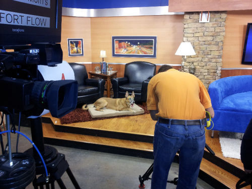 rubyevmusa's tweet card. From imgfave.com