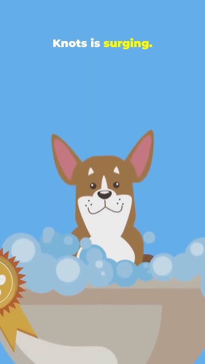 CRYPTOCURRBIT's tweet card. CORE VS KNOTS 2 5%… It’s Over #bitcoinanalysis