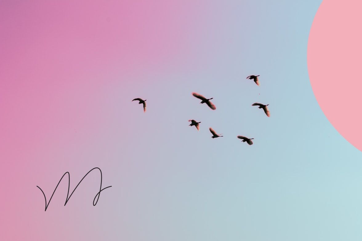 Stevenwebdevatc's tweet card. There’s a good chance your customers are on Twitter. Once you understand some basic Twitter best practices and know the types of posts that resonate with your followers, Twitter can become a gateway...