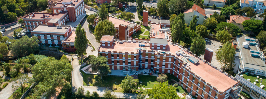 MariaJoaoLeao's tweet card. A 1 de outubro de 2024, o Instituto Gulbenkian de Ciência (IGC) e o Instituto de Medicina Molecular (iMM) fundiram-se legalmente para criar o Gulbenkian Institute for Molecular Medicine (GIMM).